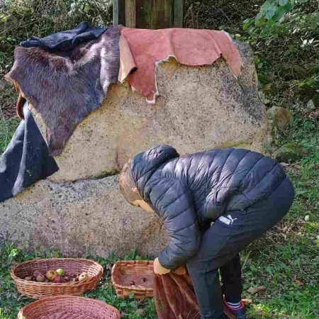 amaguestu.jpg