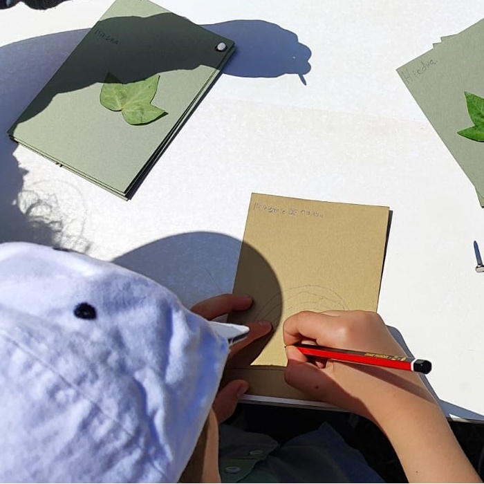 Día del Medio Ambiente