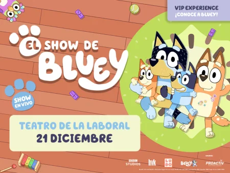 800x600_BLUEY_GIJON.jpg