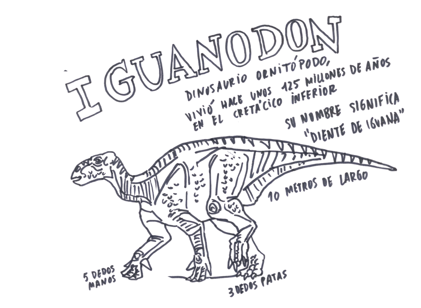 Iguanodón: 200 años de su descripción