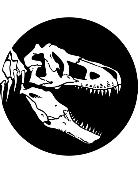 Radiografías jurásicas