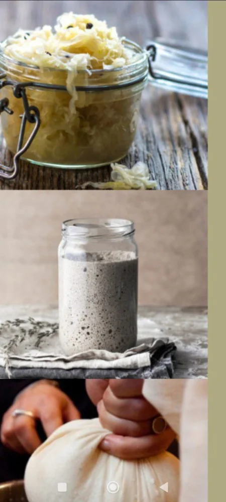 Fantásticos fermentos